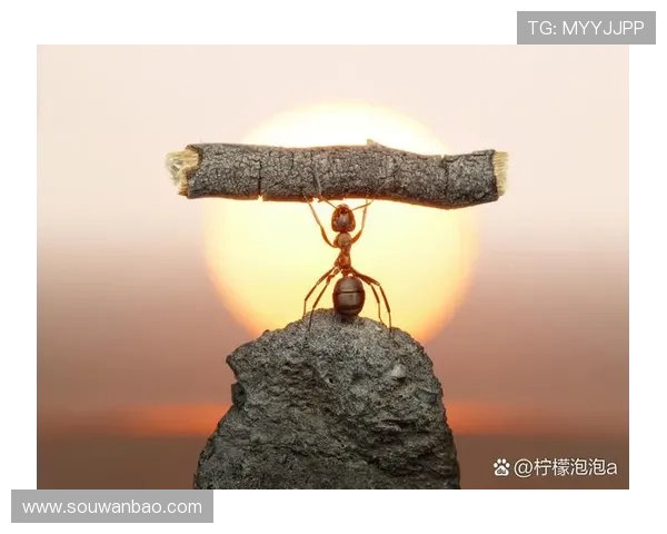 以升段为代价也要让每盘棋永不湮灭的时代呼唤清醒与坚守初心力量